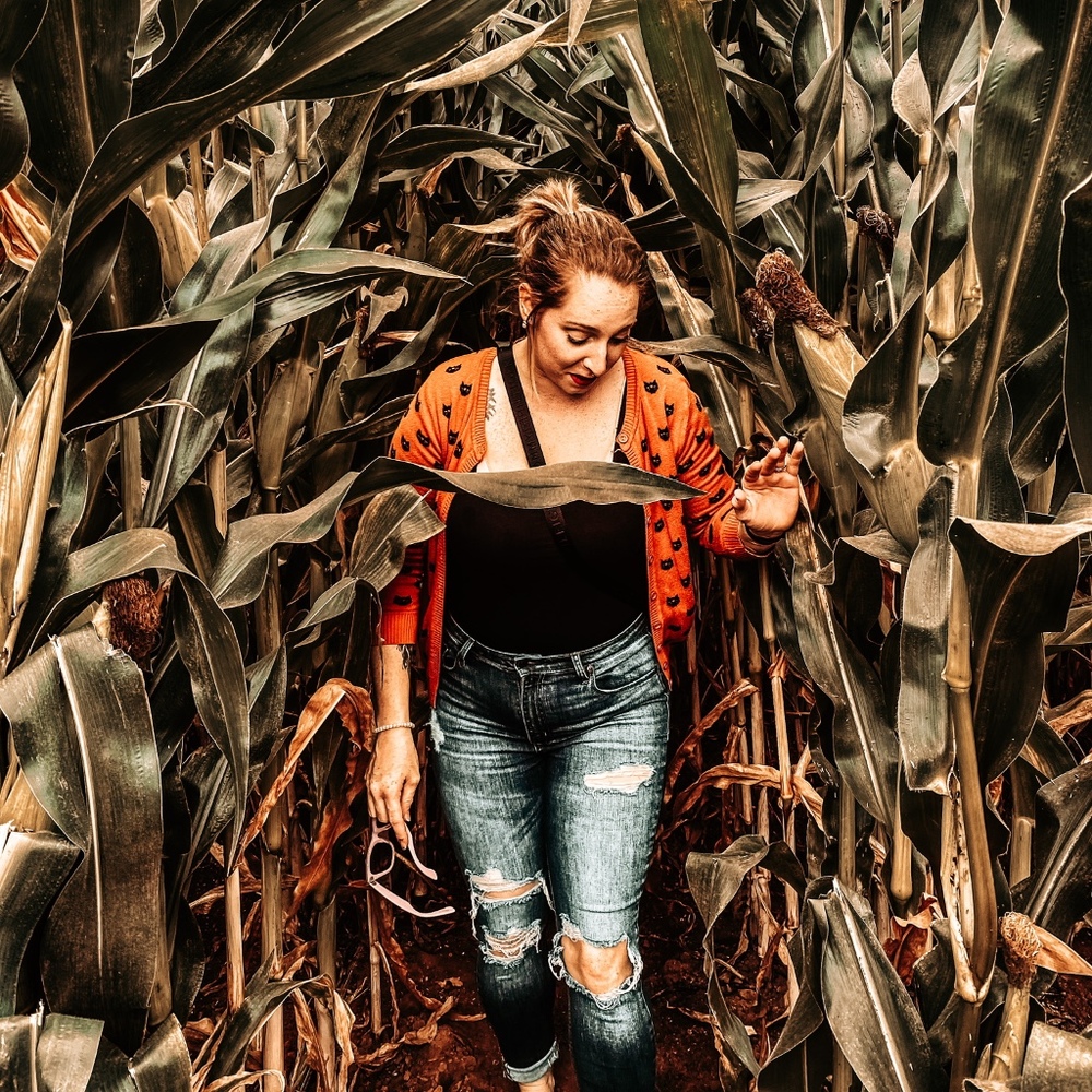 Meet your Posher, Grayce